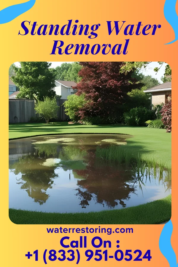 Standing Water Removal in Royal City, WA